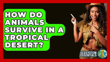 How Do Animals Survive In A Tropical Desert? - Ecosystem Essentials