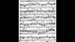 Brandenburg Concerto #2  Part 2  J.S. Bach