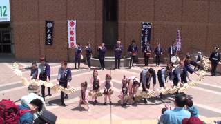 伊達雀 ハネコハネコ宮城DC2013演舞-3