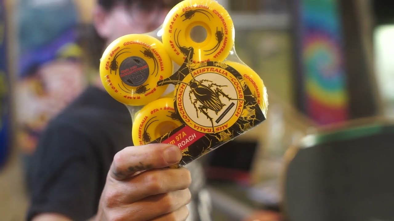 SOGGYBONES WELCOMES COCKROACH AUSTRALIA