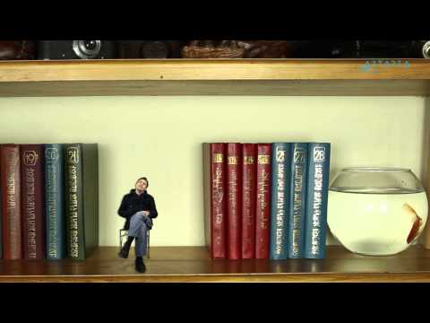 \"ნამდვილი ამბები\" - დათო ტურაშვილი - \"გ.ჩიტაიას სისტემა\