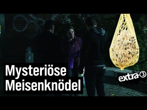 Realer Irrsinn: Im