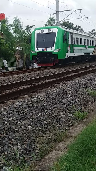 kucing jalan di rel kereta || kereta lewat ♡○xv^¤☆ #shorts