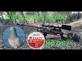 Long Range Air rifle pigeon 24 Hunting tir tufengi kral puncher jumbo 4.5