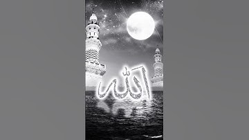 #ماهر_المعيقلي القرآن الكريم الا بذكر الله تطمئن القلوب