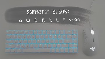 first week of semester break : unboxing the rk68 keyboard, downloading league of legends, new puppy