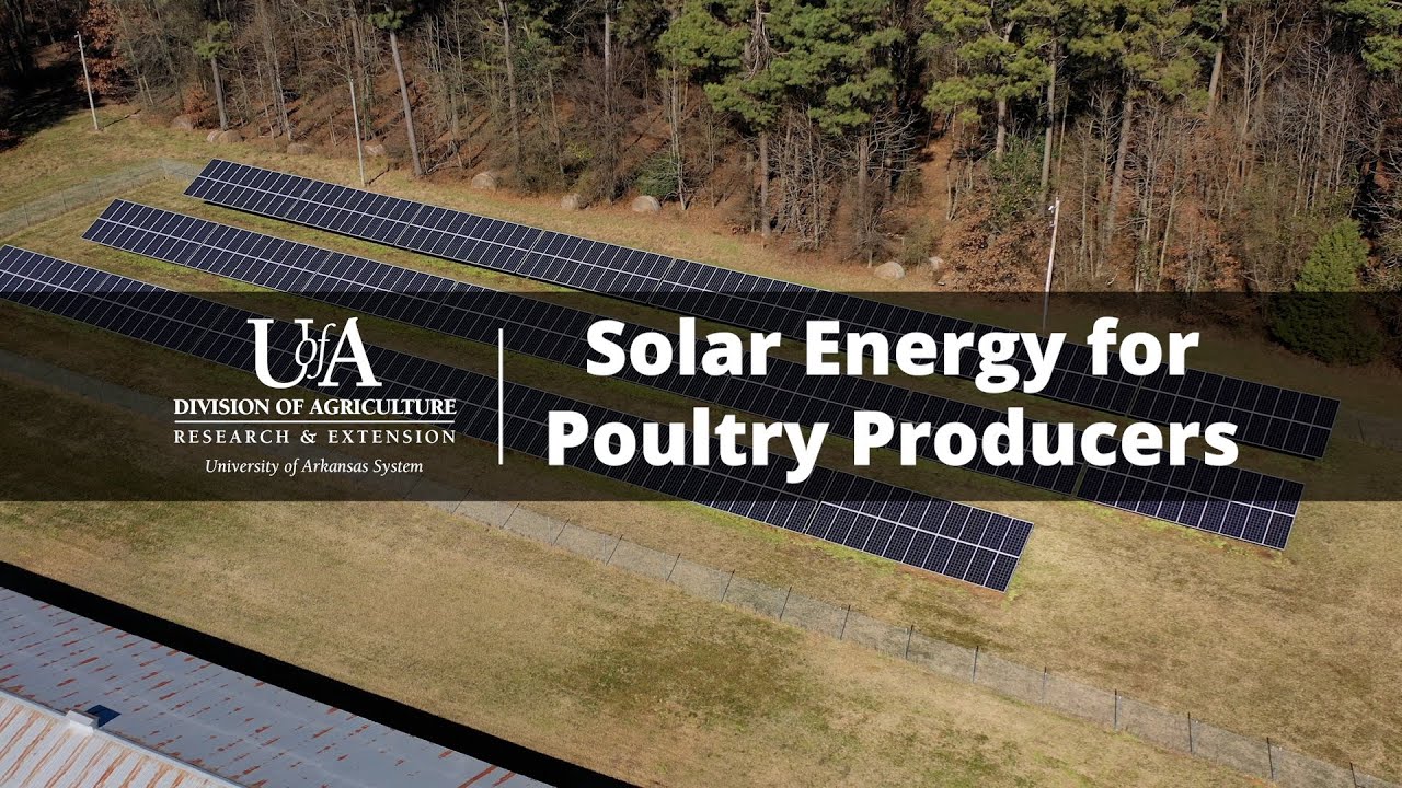 Solar Energy for Poultry Producers