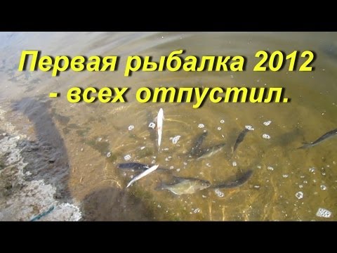 рыбалка в балаково на карася рыбалка в балаково на карася