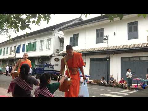 Video: Guide till Tak Bat Morning Alms Giving Ceremoni i Laos