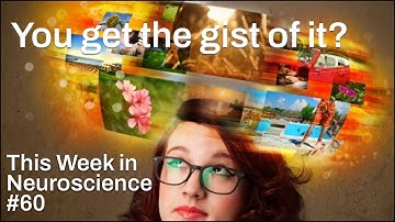 TWiN 60: You get the gist of it?