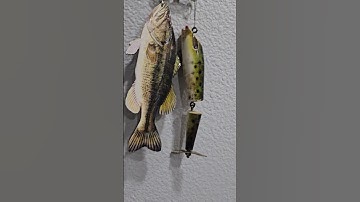 The digital advantage with Mimaki UV Print