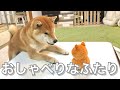 喋る柴犬に真似するおもちゃをプレゼントしたら会話を始めた