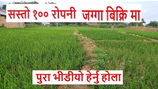 100 ropani land for sale in makwanpur hetuda | real estate nepal | sasto jagga | ghar jagga nepal