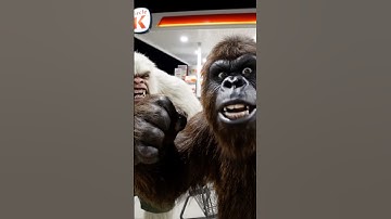 We got away with it #ai #funny #shortvideos #vlog #monkey #vlogger #shorts #viral #gorilla