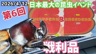 6th SB] I went to Shoppers Breeders, Japan's largest insect event