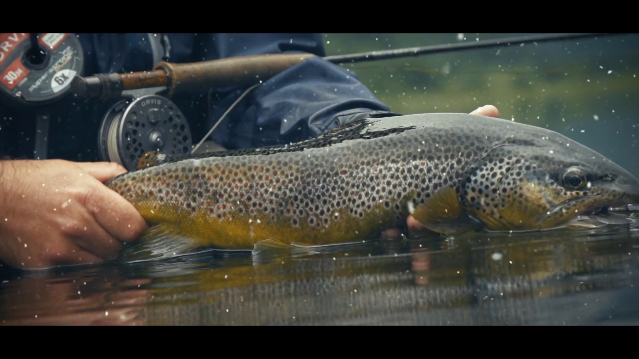 Orvis Down The Hatch Fly Fishing Film Festival YouTube