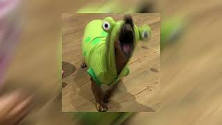 clash sped up
