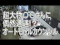 ○億円の名車!? AUTOMOBILE COUNCIL 2024 超大物○○さんにも遭遇!!