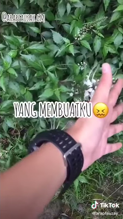 STORY WA~ BELAJAR ONLINE