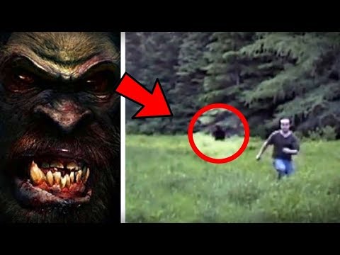 Video: Bigfoot Blev Filmet I Nordamerika - Alternativ Visning