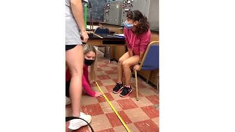 Physics 201 and 211 Lab 4  Projectile Motion