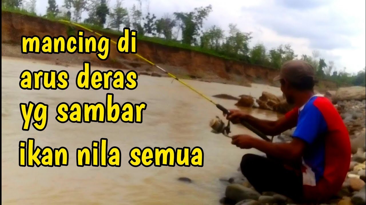 Memancing ikan umpan cacing  di sungai  keruh YouTube