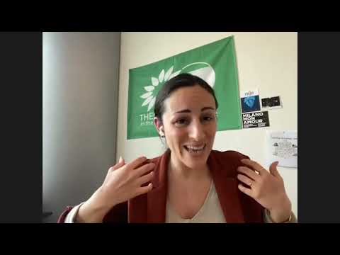 Webinar: MEP Eleonora Evi, Greens - EFA