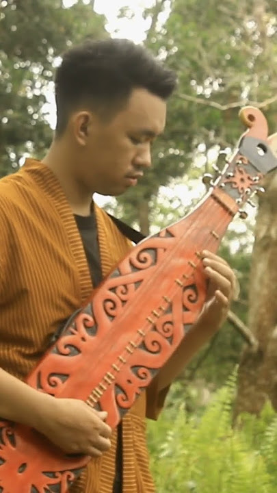 Balo Lipa Versi Sape Dayak #sapedayak #soundtiktokviral #balolipa #bugis #kalimantan #dayakborneo