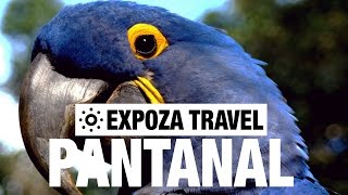 Pantanal Vacation Travel Video Guide