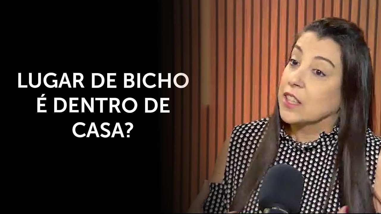 A humanização dos pets é um problema? | #al