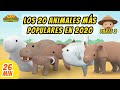 Los 20 Animales Más Populares En 2020 [Parte 2/4] (Español) - Leo, El Explorador Episodio