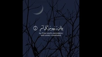 إنا أنزلناه في ليلة القدر 😍🌙 ماهر المعيقلي حالات واتس سورة القدر ♥️✨