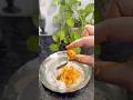 Usirikaya Pachadi ఉసిరికాయ నిలవ పచ్చడి | Usirikaya Nilava Pachadi#pickle #shortsviral #trending #fy