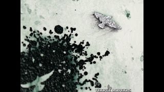 Learn to fly again - Visible Image Learn to fly again - Visible Image