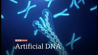 Work begins to create artificial human DNA from scratch (UK) 26/June/2025