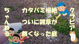 クラピアの雑草対策の第一弾は苦土石灰を使用 緑の温もりを感じる庭づくり 北限のクラピア 楽天ブログ クラピアの雑草対策の第一弾は苦土石灰を使用 緑の温もりを感じる庭づくり 北限のクラピア 楽天ブログ