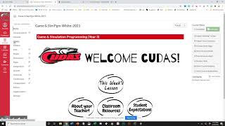 Canvas Problem with student view  Check this out!