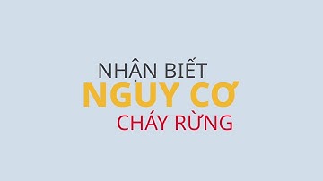 Know Your Risk - Vietnamese Nhận Biết Nguy Cơ