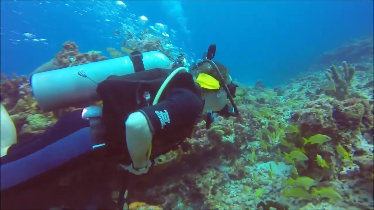 Scuba dive near Isla Mujeres, Cancun, 2015 - YouTube