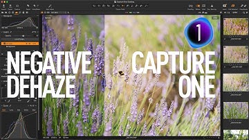 Capture One Tutorial: Soft Light Effect with Negative Dehaze