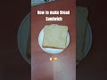 How to make a Bread Sandwich 🥪