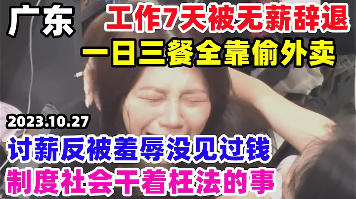 工作7天被无薪辞退，大学生组团偷外卖，讨薪反被羞辱没见过钱，广东啊广东，走别人的路让别人无路可走#广东#无薪辞退#组团偷外卖 - 天天要闻