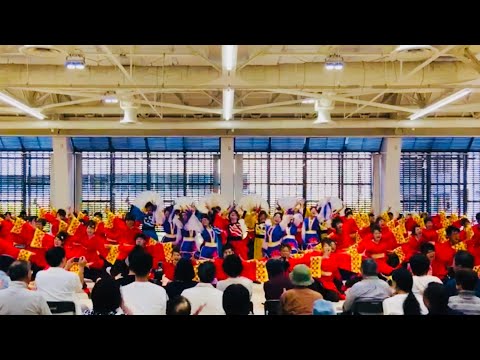 神戸学生よさこいチーム湊 「朱巽」 神戸アライブ2017 〜サンボーホール審査〜