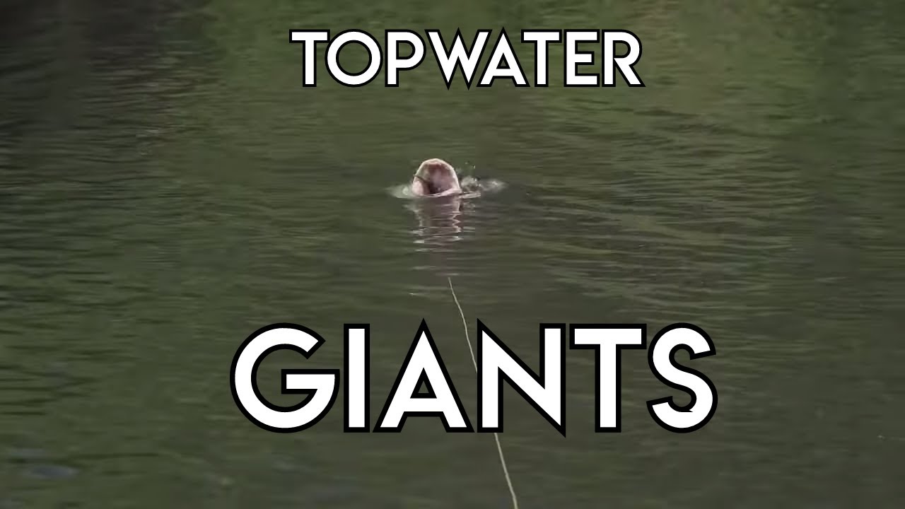 Topwater Giants of Northern Canada