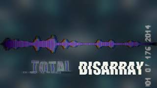 DISARRAY - Official Lyric Visualiser
