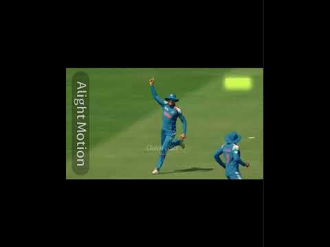Incredible catch #cricket