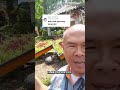 pemangkasan
