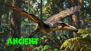 Top 20 Mesozoic Masters of the Sky