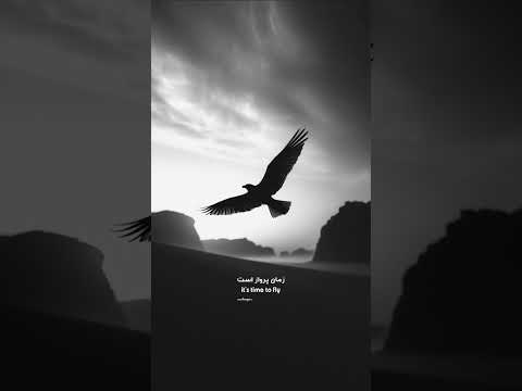 وقت پرواز لایک وسابسکرات یادتون نره عزیزان ترند 