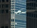 A Marine Corps Gunship Helicopter has Been Spotted Flying Over Los Angeles #shorts #ice #trump
